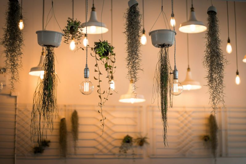 Lighting Installation and Repairs