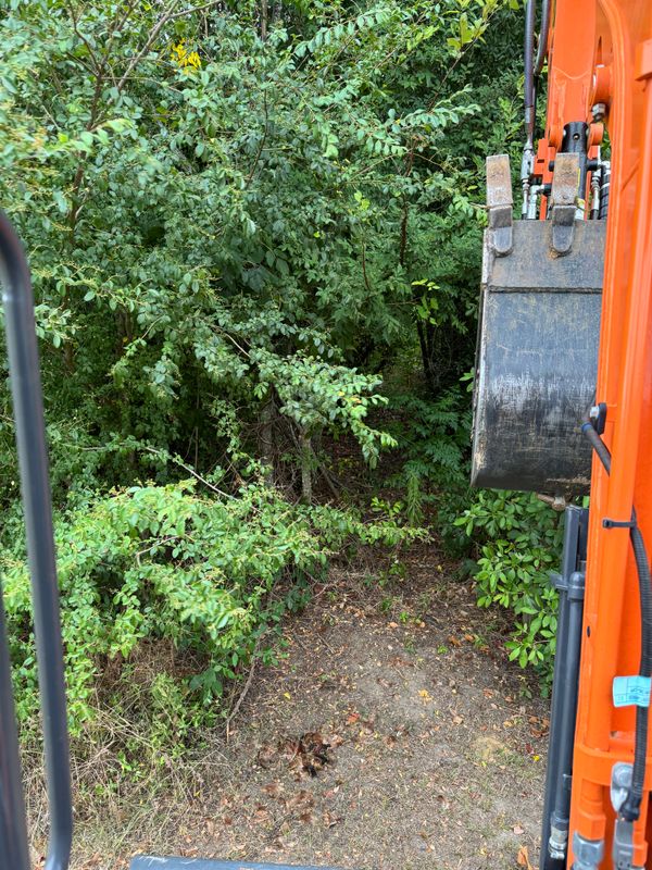 Land Managment 