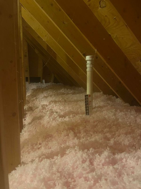 Eco-Friendly Insulation Options