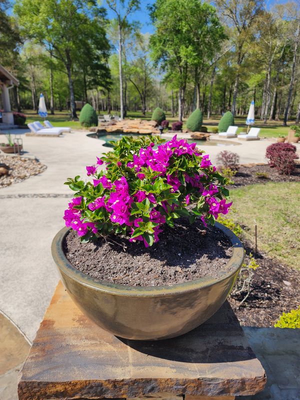 Landscaping