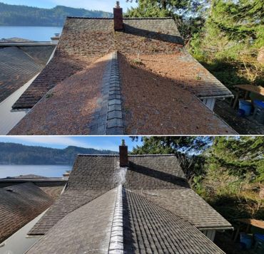 Roof Cleaning