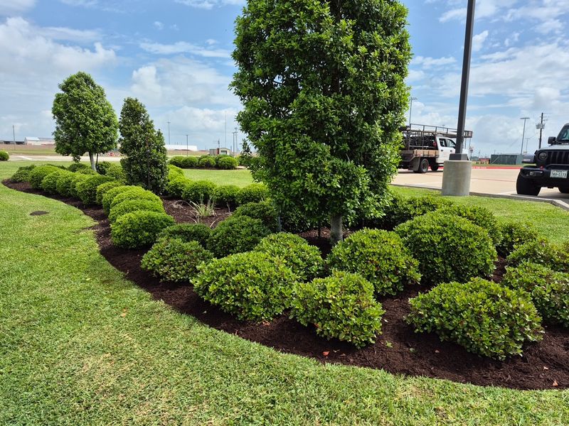 Lawn Maintenance