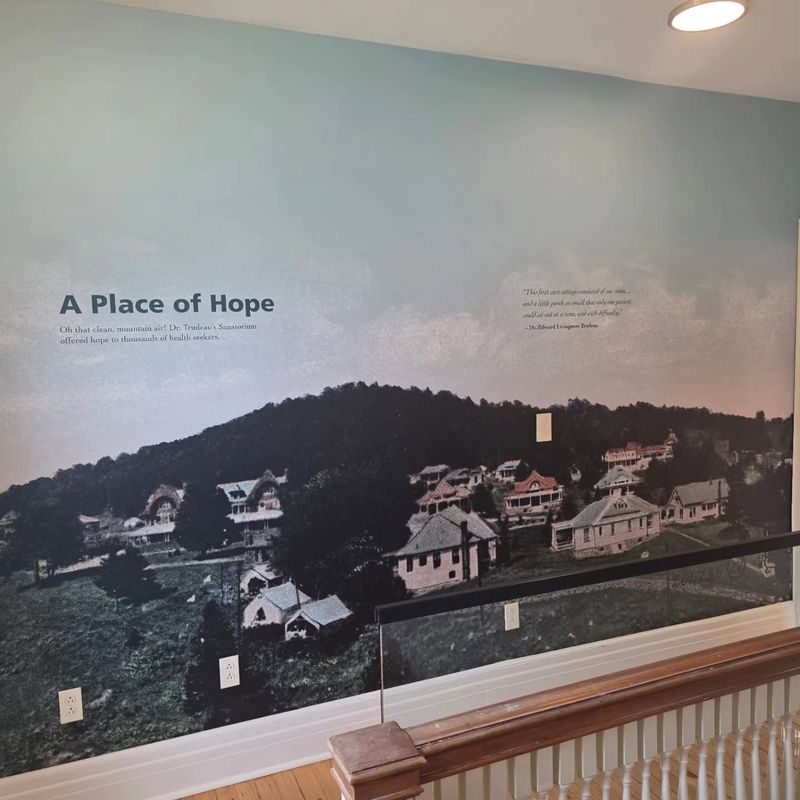 Digital Murals