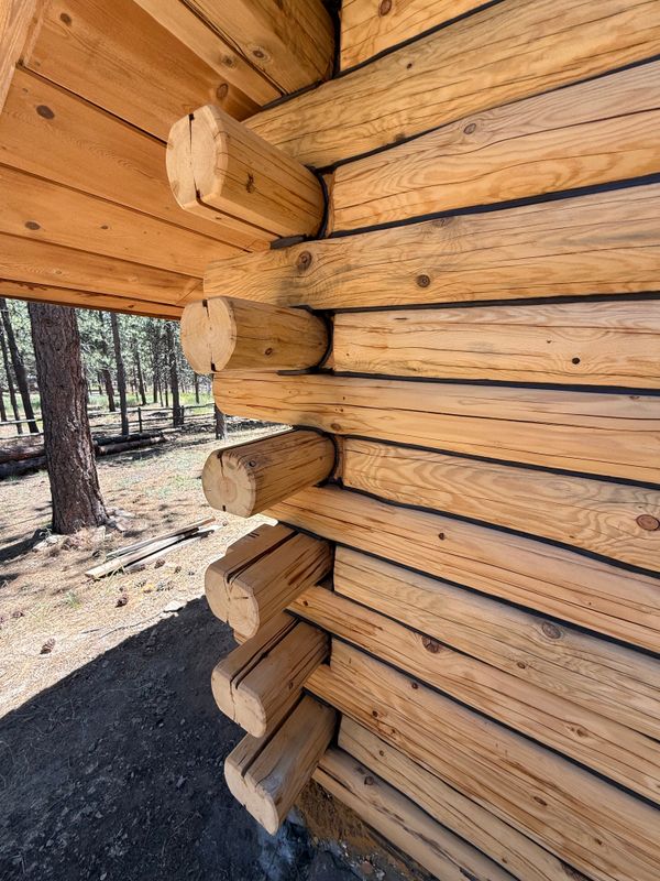 Log Home Restoration