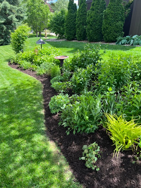 Landscaping