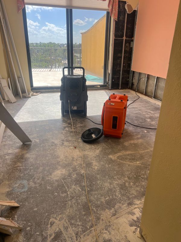 Mold Remediation gallery