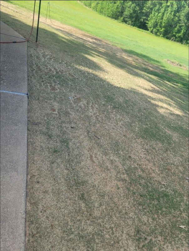Hydroseeding gallery