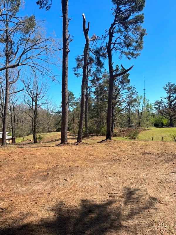 Land Clearing
