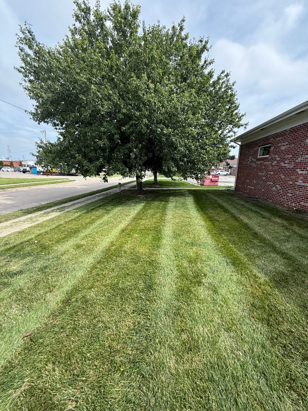 Lawn Care