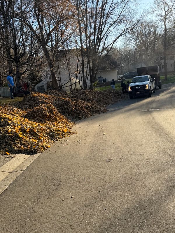 Fall Clean Up