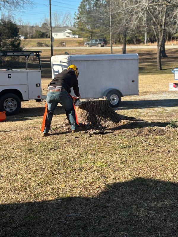 Reviving Play Spaces: Otis Lee Stump Grinding Transforms Sharon's Yard in Prosperity, SC