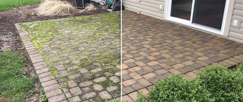 Moss Removal