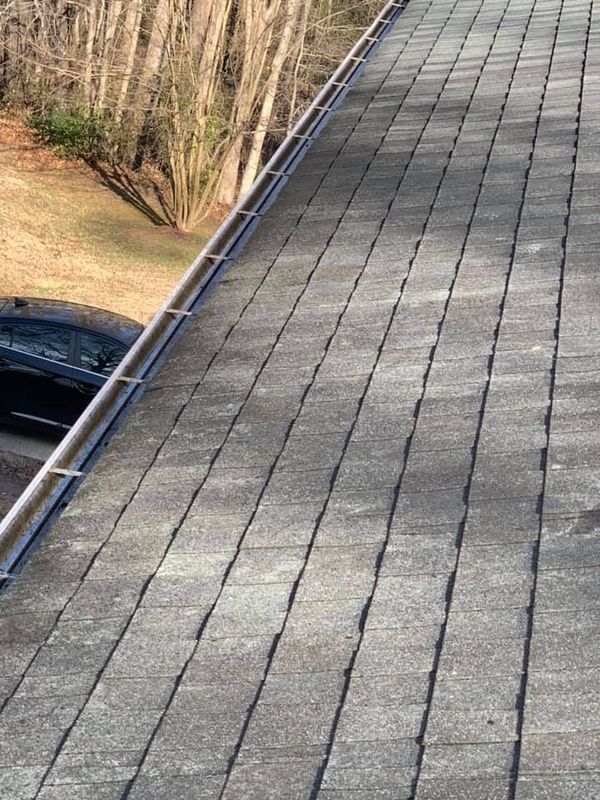 Gutter Cleaning