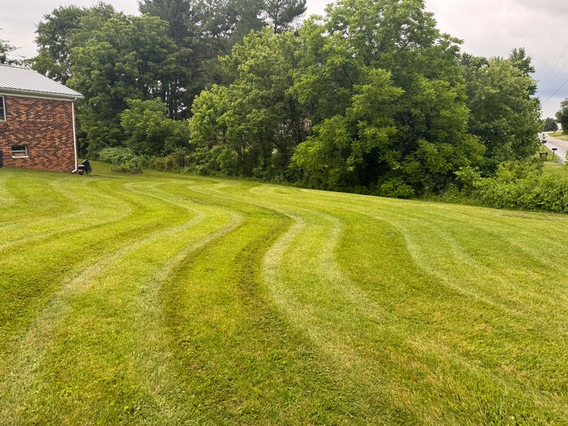 Lawns