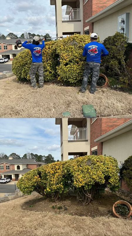 Garden Care and Planting