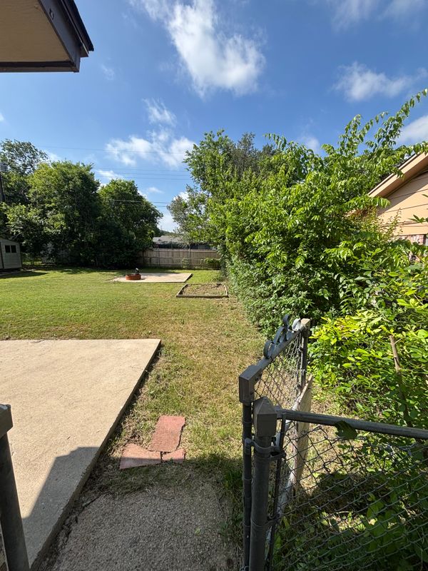 Shrubbery trimming and removal