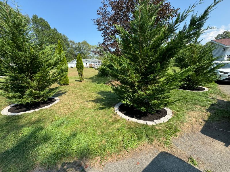 Landscaping gallery