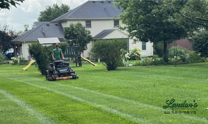 Lawn Mowing