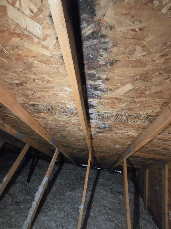 Fire and Smoke Damage Restoration