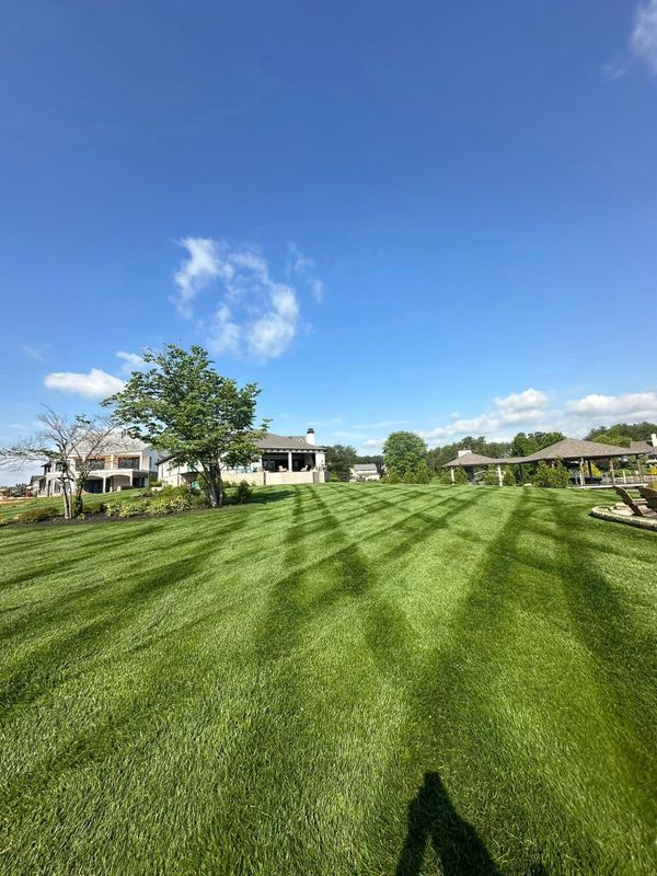 Lawn Care