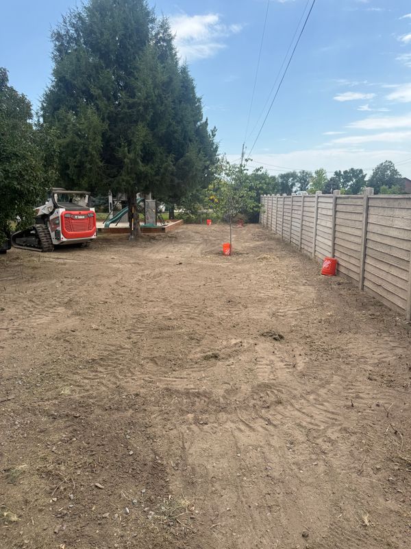 Excavation