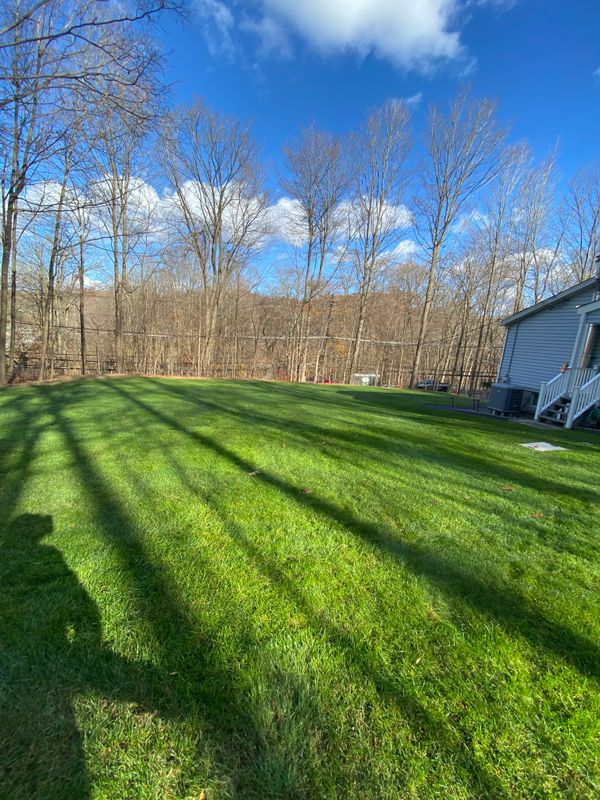 Landscaping