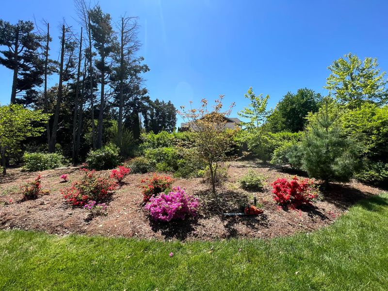 Mulch Installation