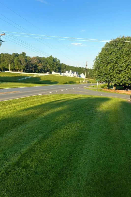 Lawn Maintenance