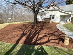 Lawn Care Services