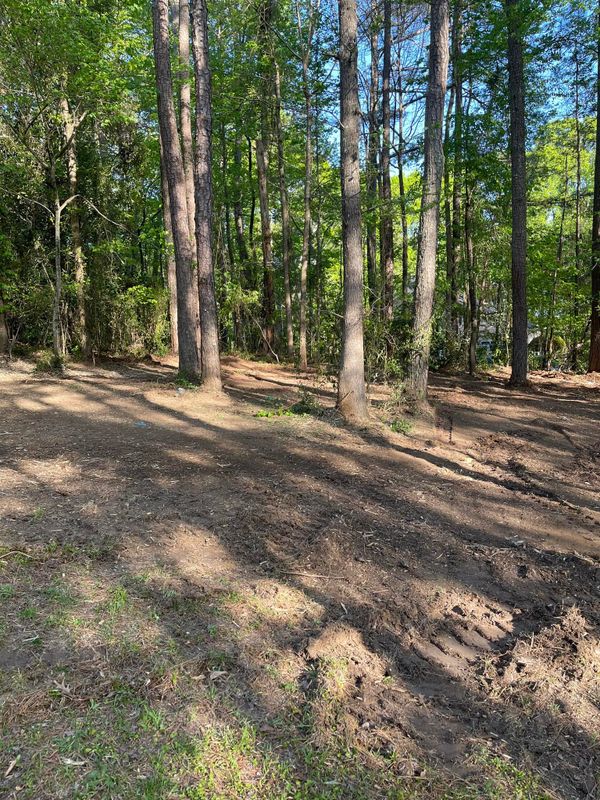 Forestry Mulching gallery