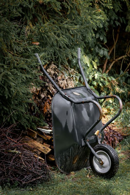 Tree Services