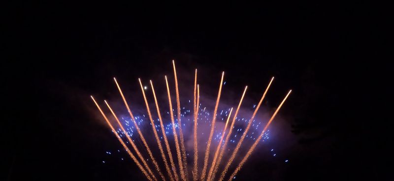 Gender Reveal Firework Displays / Show