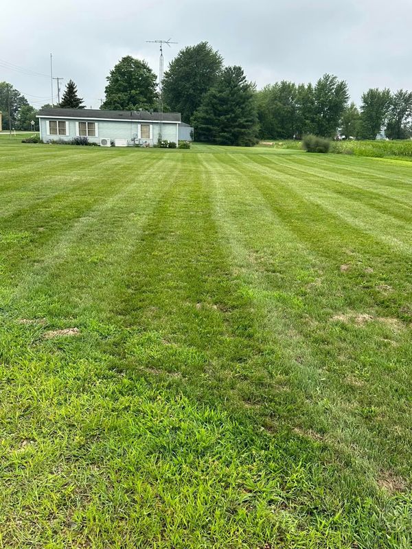 Lawn Mowing and Maintenance