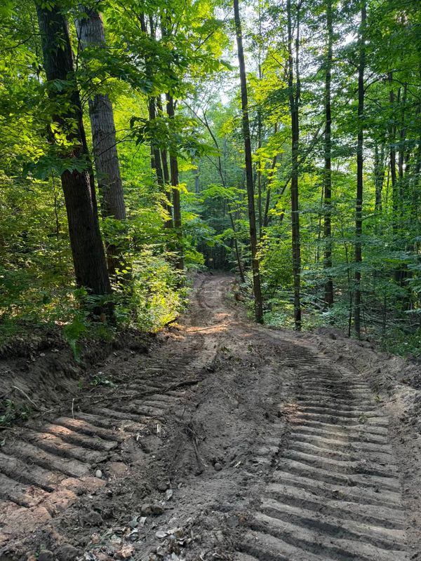 Land Clearing