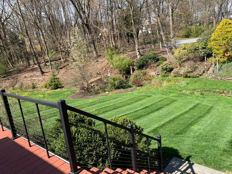 Lawn Maintenance