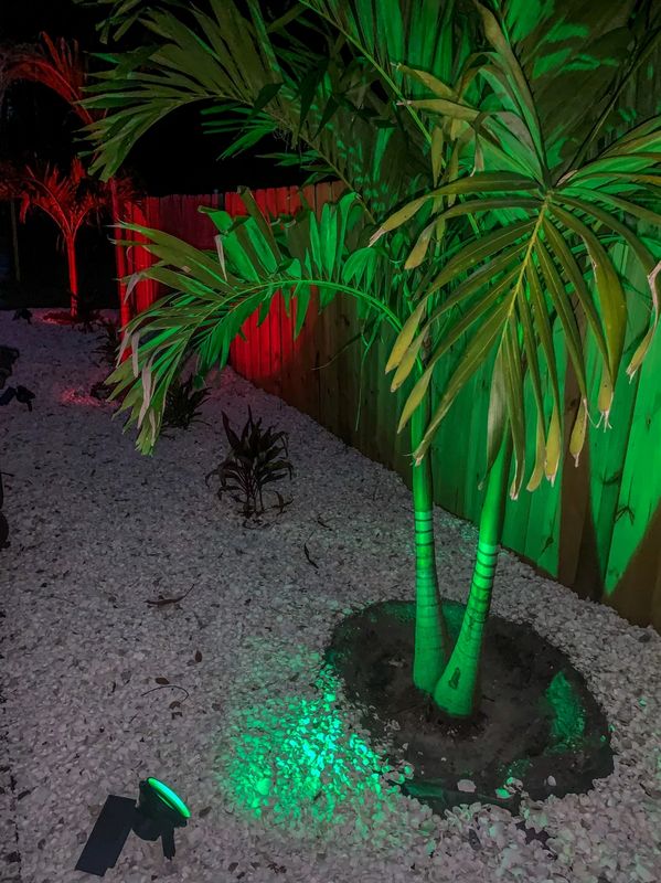 Landscape Lighting Installation