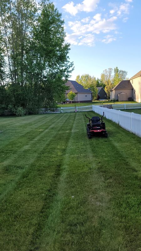 Lawn Mowing