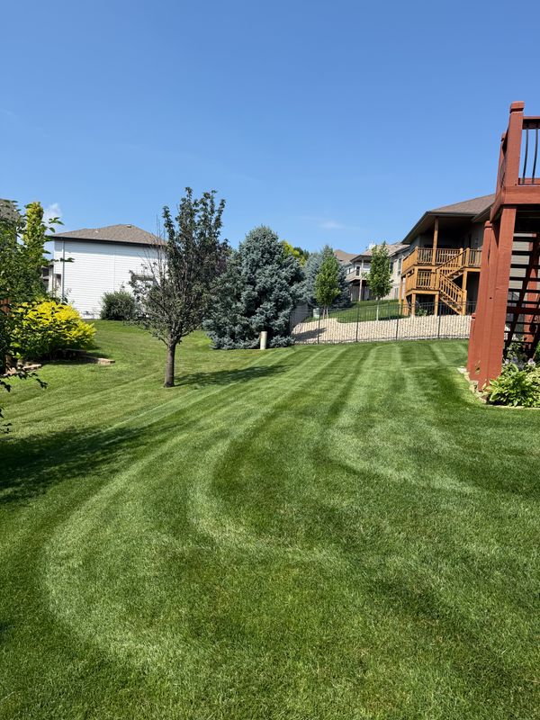 Landscape Design