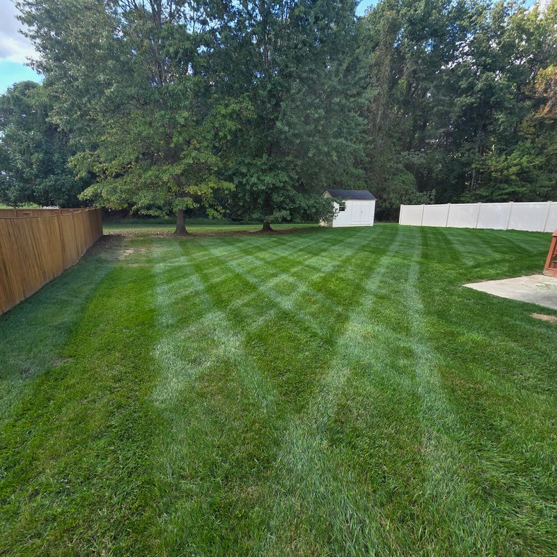 Lawn Maintenance