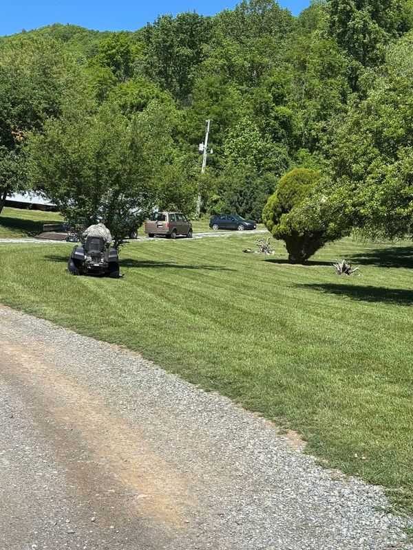 Lawn Maintenance