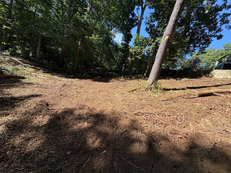 Brush Mowing