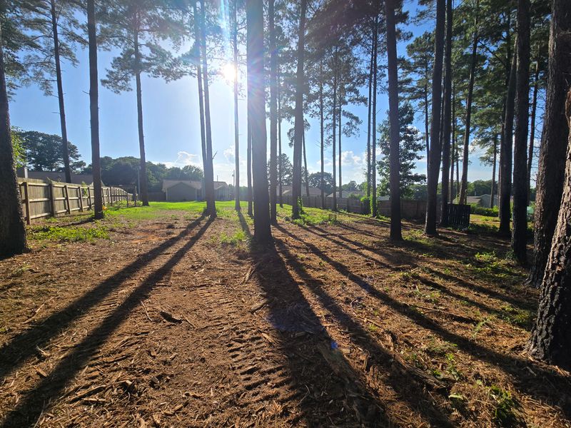 Residential Land Clearing