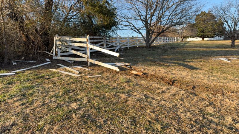 Fences