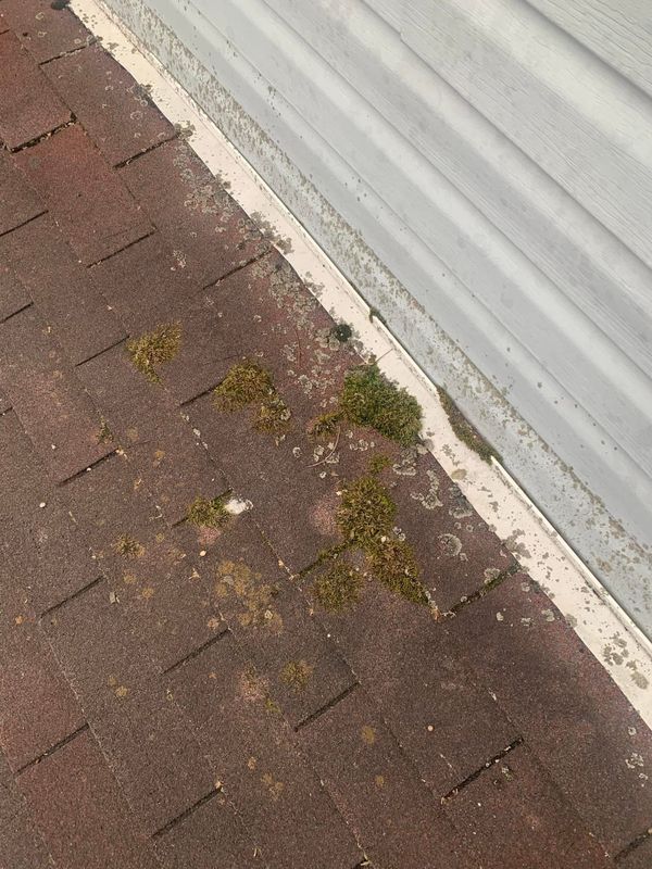 Common Damage We Repair