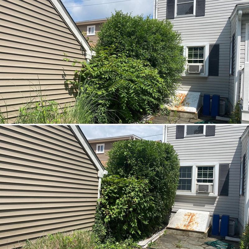 Landscaping