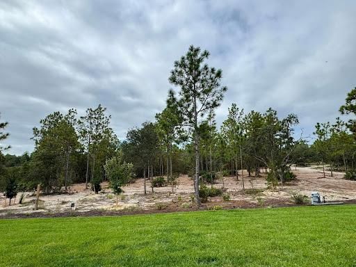 Land Clearing & Demolition