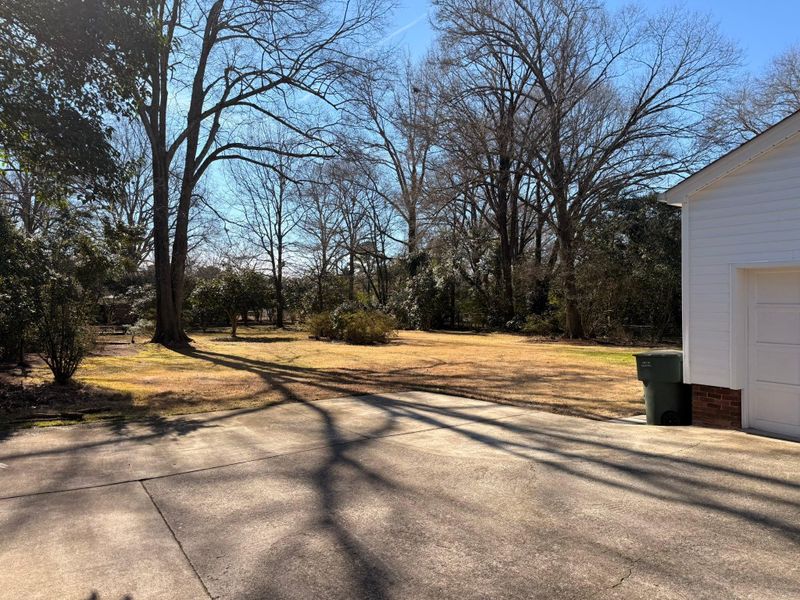 Other Lawn Maintenance