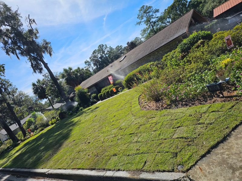 Sod Installing