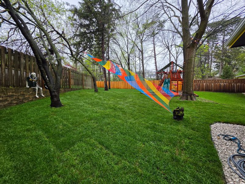 Lawn Care Programs