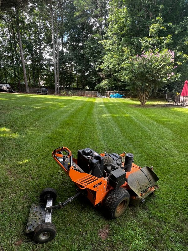 Lawn Care and Maintenance